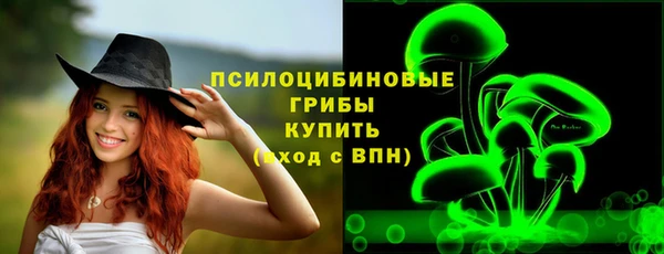 гидра Няндома