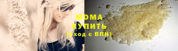 гидра Няндома