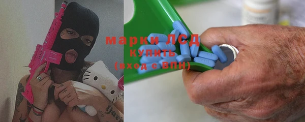 гидра Няндома