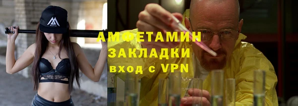 гидра Няндома