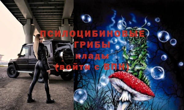 гидра Няндома