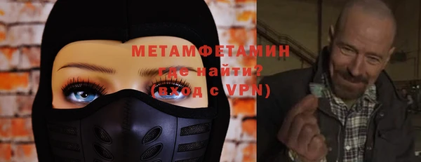 гидра Няндома