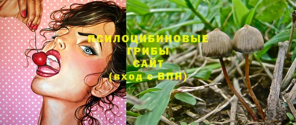 твердый Нязепетровск