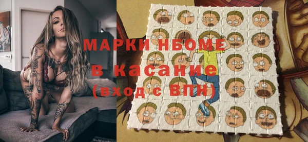 гидра Няндома