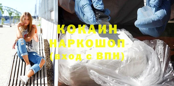 гидра Няндома