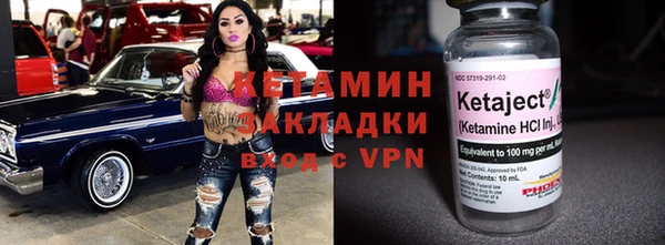 гидра Няндома