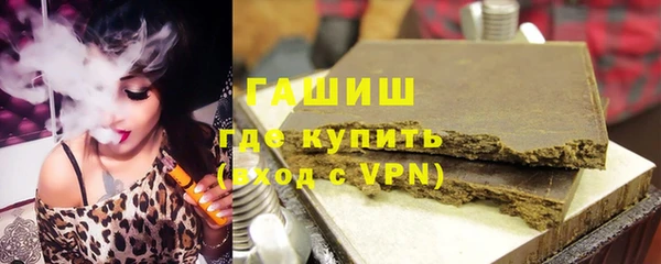 гидра Няндома