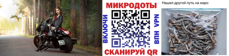 цена наркотик  Тетюши  Галлюциногенные грибы ЛСД 